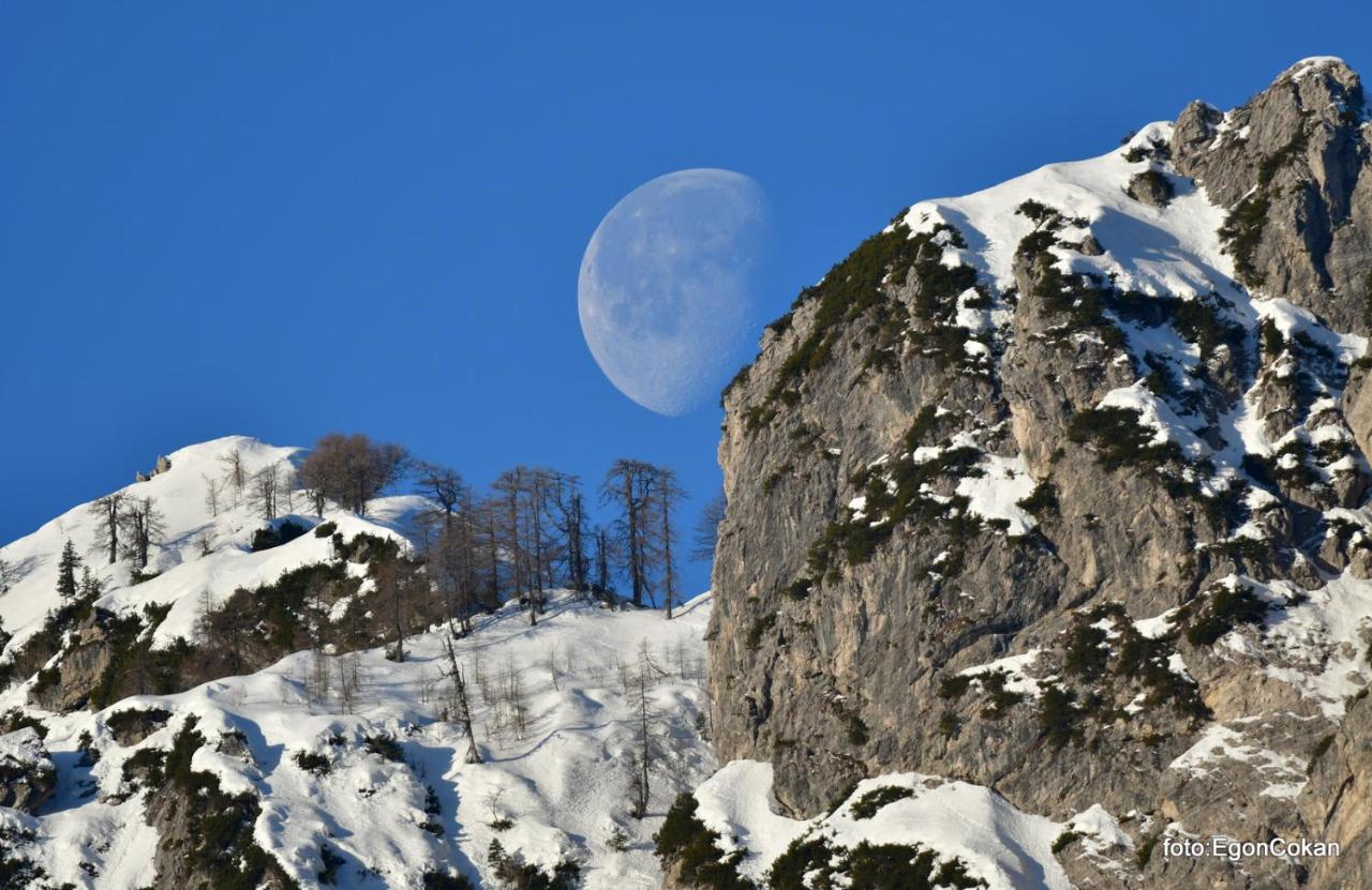 Mountain Charm Apartman Kranjska Gora Kültér fotó