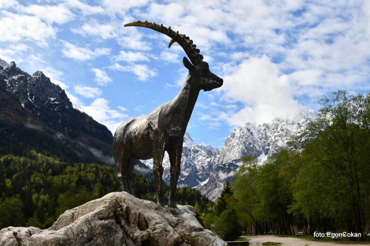 Mountain Charm Apartman Kranjska Gora Kültér fotó
