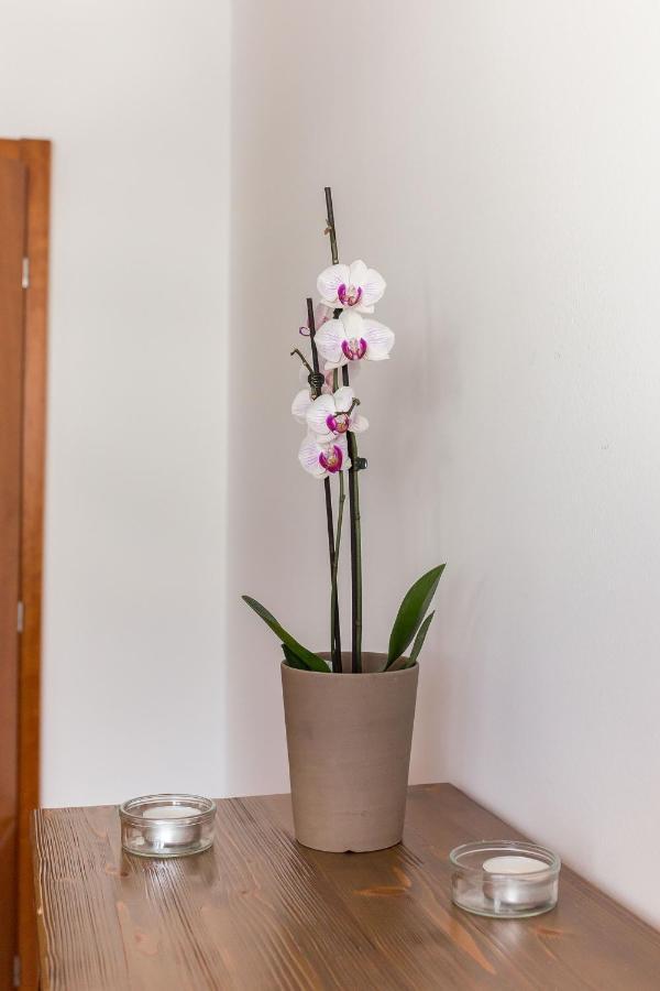 Mountain Charm Apartman Kranjska Gora Kültér fotó